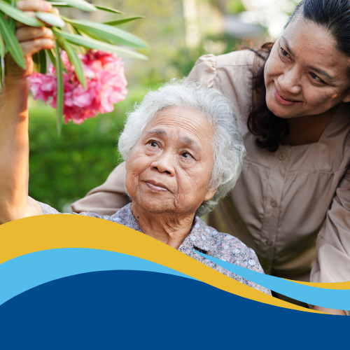 Family and Whānau Carer Workshop - Kerikeri